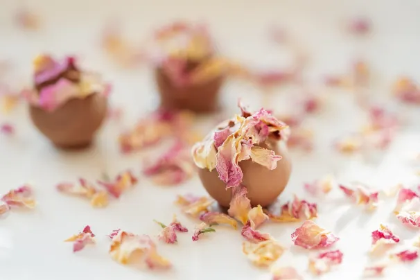 Kasino Lotus Asia Android/iOS aplikace